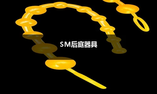 SM后庭器具