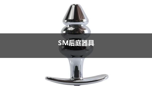 SM后庭器具